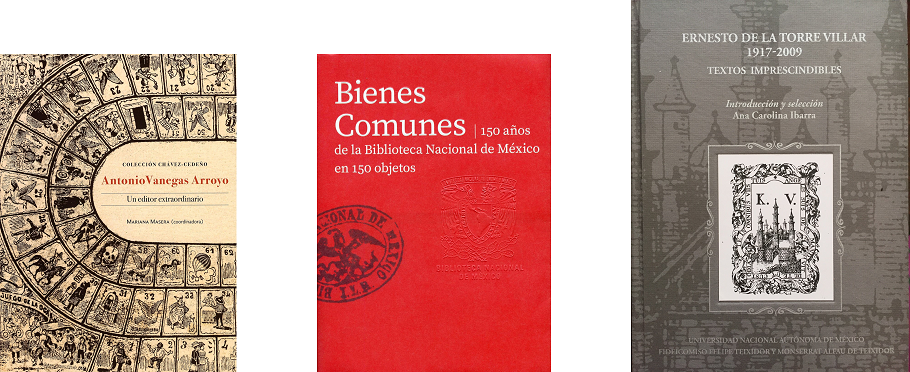 imagen3