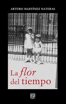 imagen3