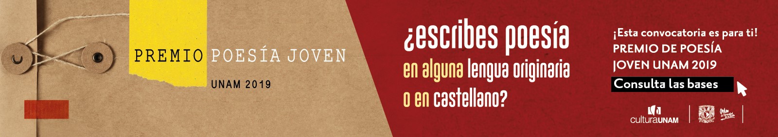 imagen5